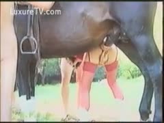 A woman fucking a horse while wearing red underwear